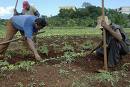 Increase Farm Production in Cuba with New Role of Municipalities